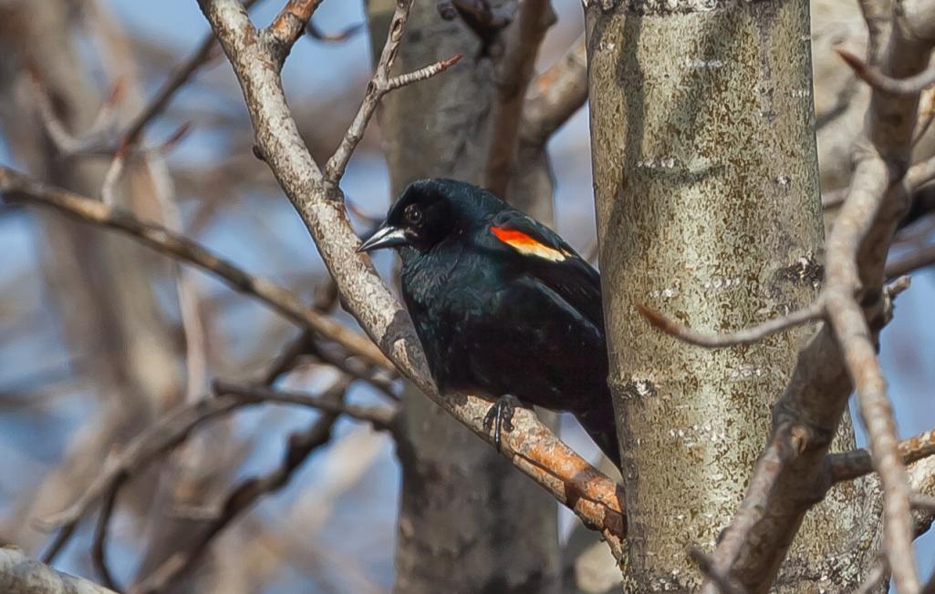 Name:  2011_04_23_1813.jpg
Views: 478
Size:  99.1 KB