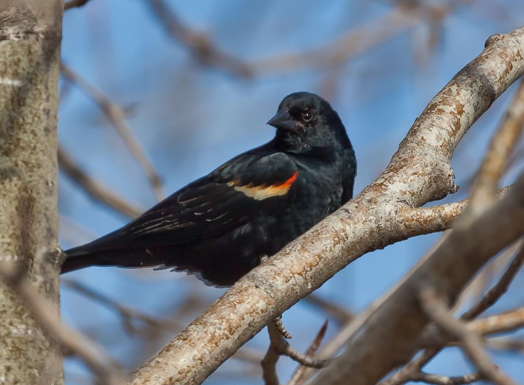 Name:  2011_04_23_1815.jpg
Views: 471
Size:  86.5 KB