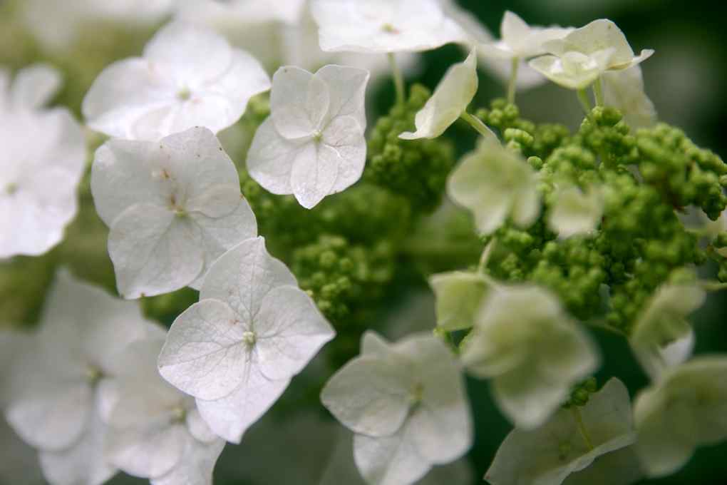 Name:  IMG_0010.jpg
Views: 631
Size:  35.2 KB