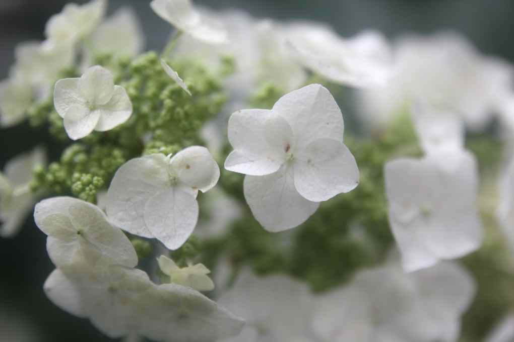 Name:  IMG_0022.jpg
Views: 553
Size:  28.9 KB