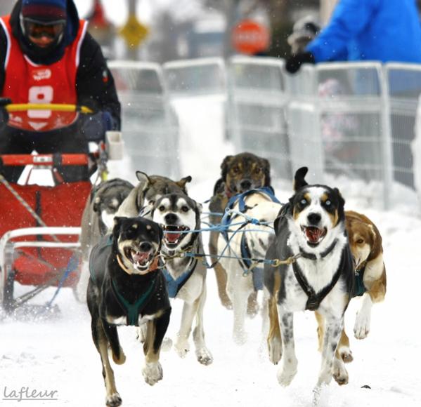 Name:  IMG_3156 mm.jpg
Views: 517
Size:  49.1 KB