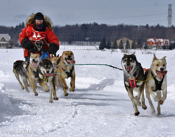 Name:  IMG_3239 s.jpg
Views: 464
Size:  275.9 KB