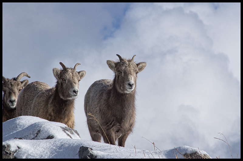 Name:  8465724967_3289ef2fbe_c.jpg
Views: 834
Size:  172.1 KB