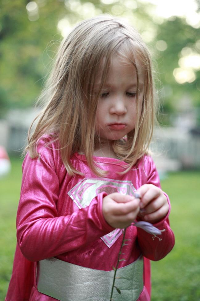 Name:  _MG_3047.jpg
Views: 518
Size:  75.1 KB