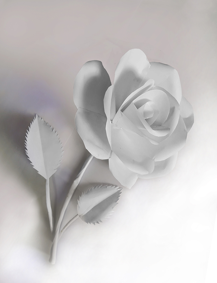 Name:  paper rose.jpg
Views: 666
Size:  251.9 KB