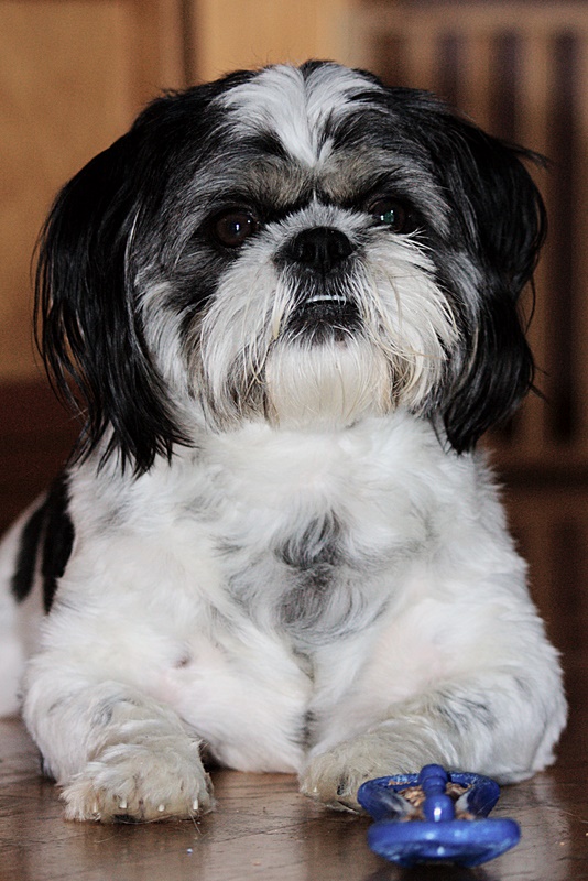 Name:  IMG_1063_edited2.jpg
Views: 547
Size:  172.4 KB