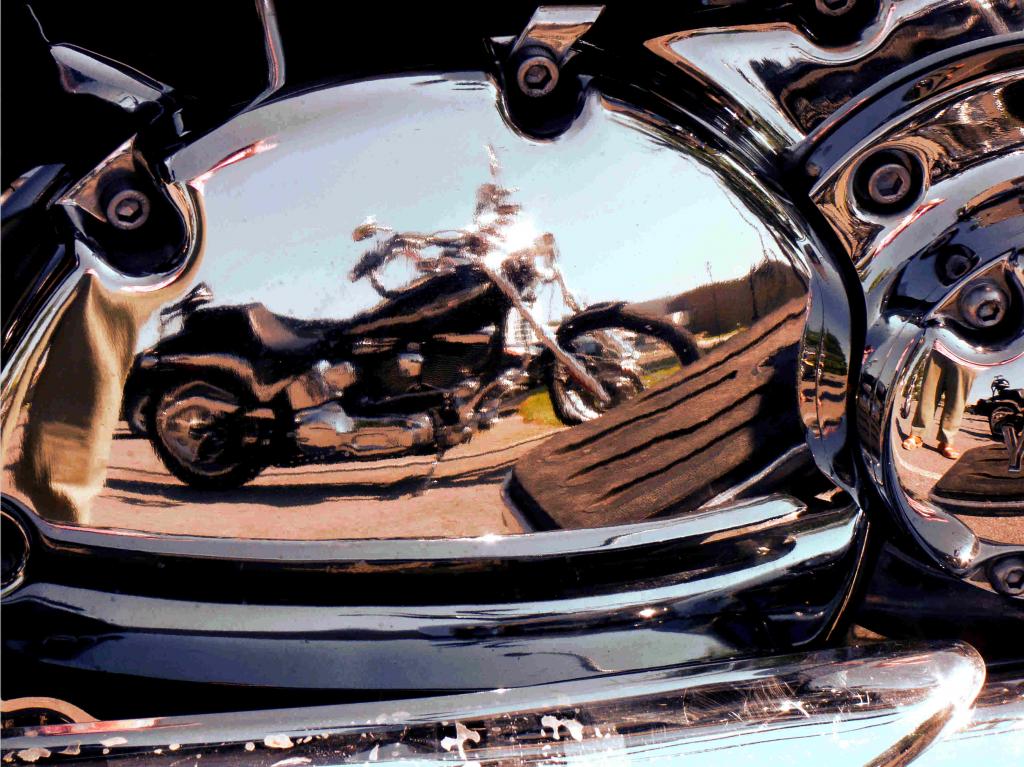 Name:  harley and me.jpg
Views: 523
Size:  144.7 KB