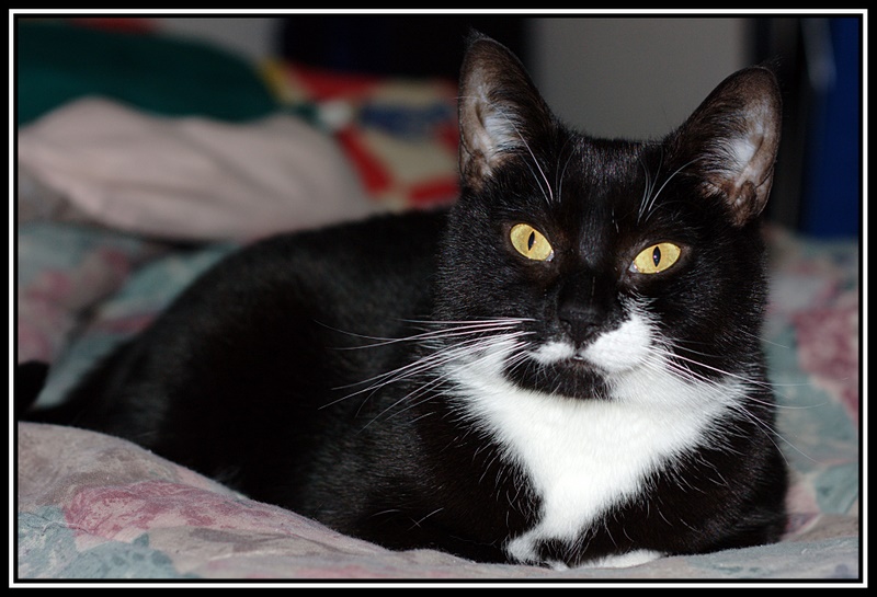 Name:  IMG_4423_edited.jpg
Views: 451
Size:  174.8 KB