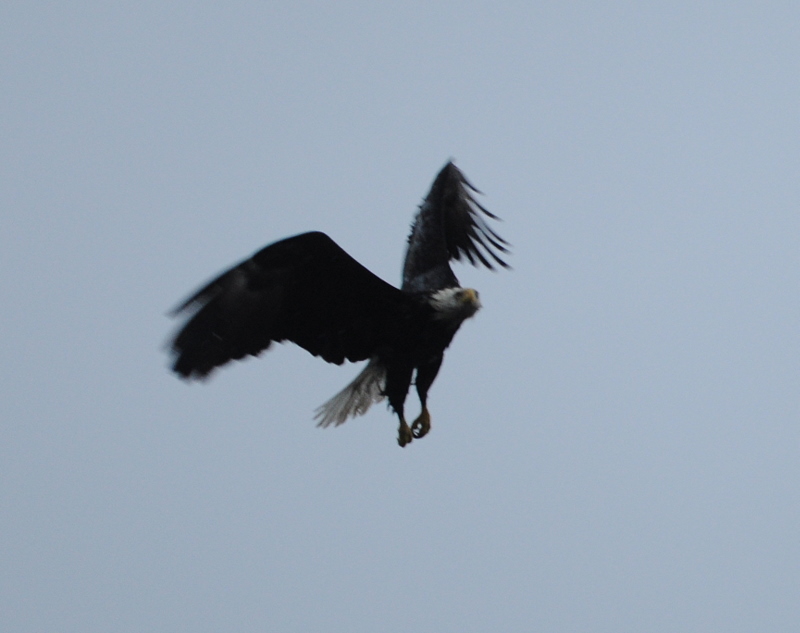 Name:  116.JPG
Views: 467
Size:  147.9 KB