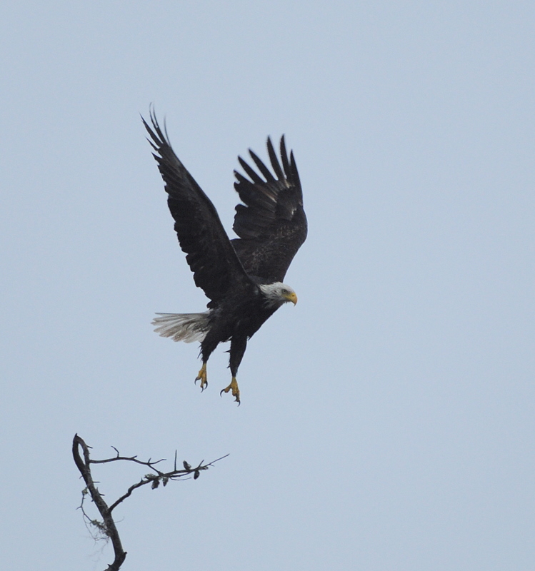 Name:  114.JPG
Views: 492
Size:  195.8 KB