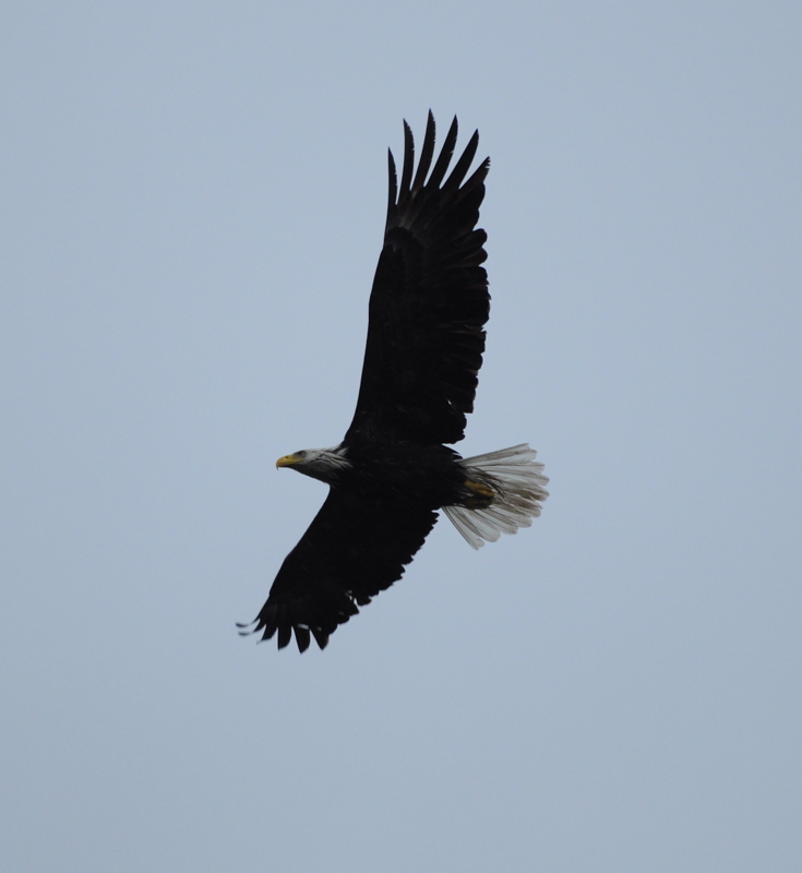 Name:  118.JPG
Views: 467
Size:  141.9 KB