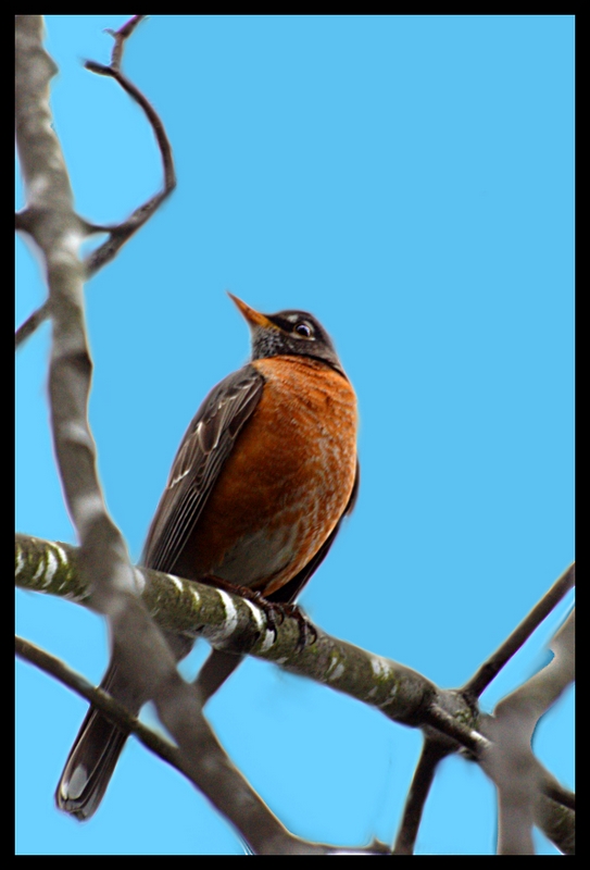 Name:  IMG_7287_edited.jpg
Views: 569
Size:  209.0 KB