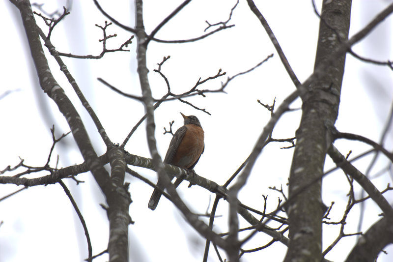 Name:  IMG_7287.jpg
Views: 588
Size:  126.4 KB