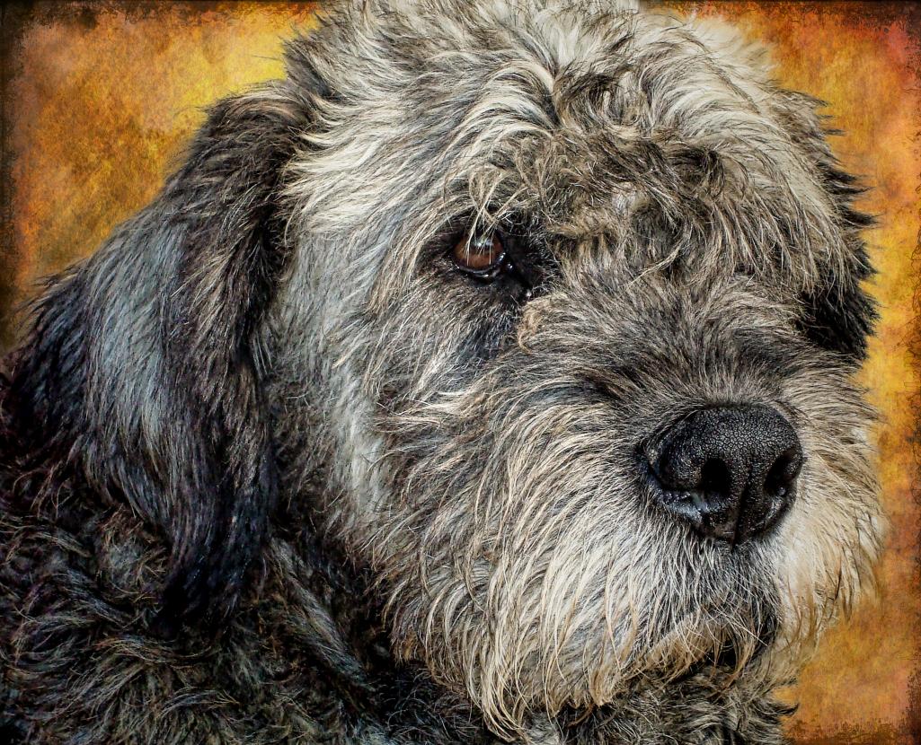 Name:  Elsa.jpg
Views: 495
Size:  243.8 KB