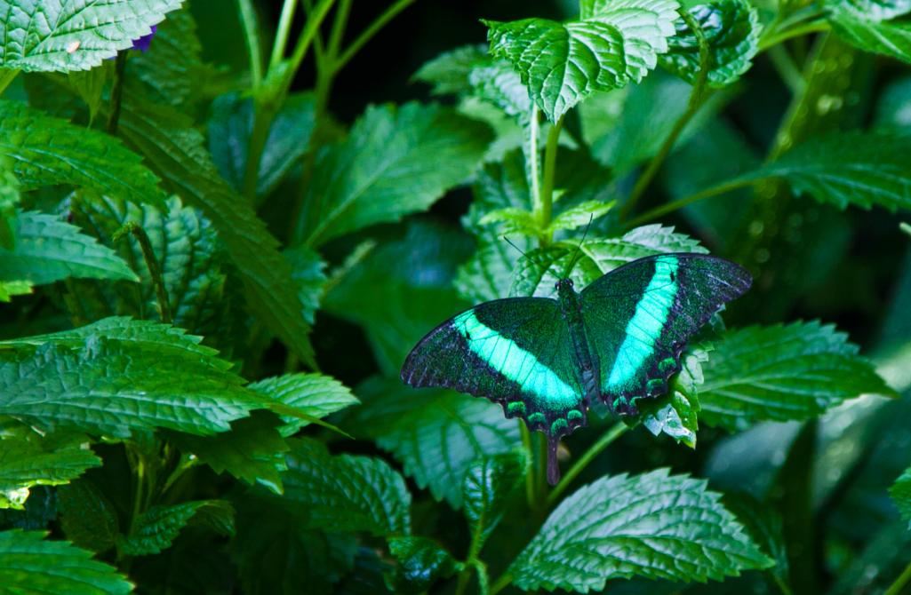 Name:  2011_09_13_2618.jpg
Views: 333
Size:  99.7 KB