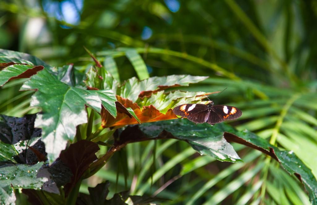 Name:  2011_09_13_2598.jpg
Views: 339
Size:  84.0 KB