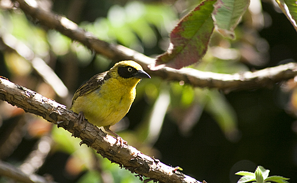 Name: IMG_9440.jpg
Views: 495
Size: 230.8 KB