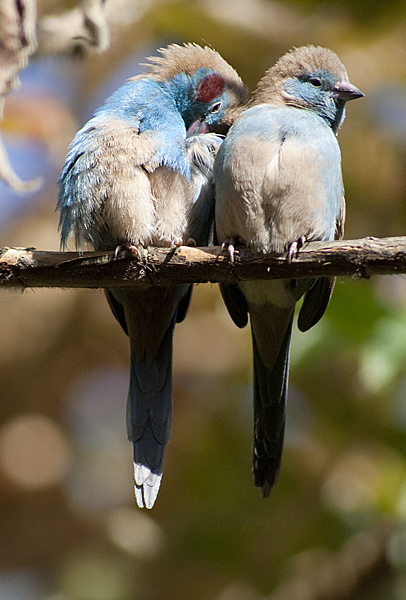 Name: IMG_9380.jpg
Views: 475
Size: 237.7 KB