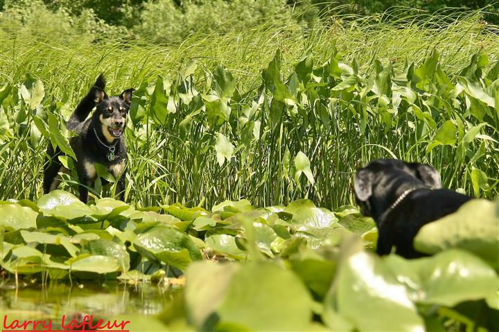 Name:  IMG_0563 (Small).JPG
Views: 307
Size:  113.5 KB