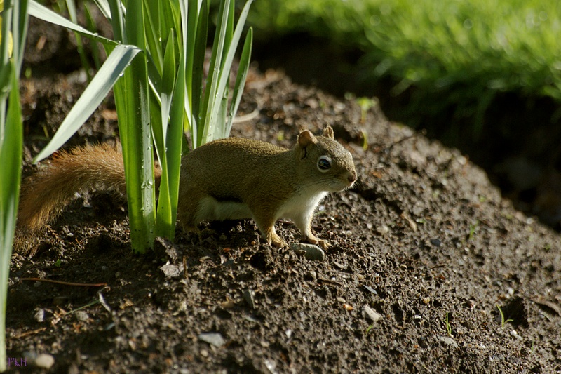 Name:  IMG_2918_edited.jpg
Views: 597
Size:  223.3 KB