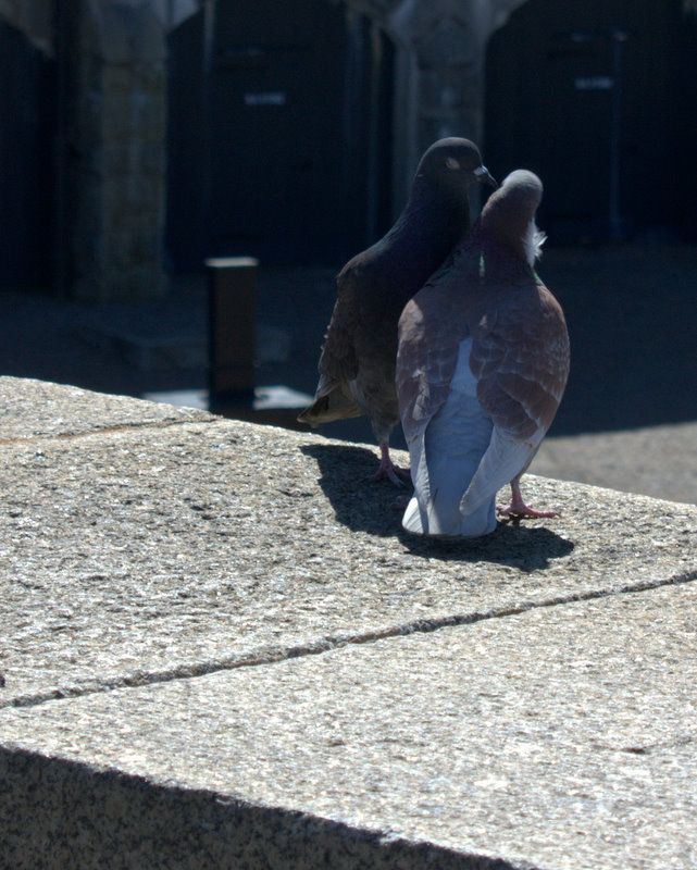Name:  IMG_6556.jpg
Views: 376
Size:  144.1 KB