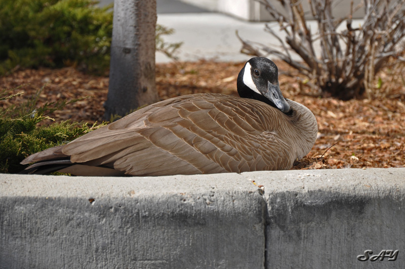 Name:  Stink Eye 2.jpg
Views: 386
Size:  194.4 KB