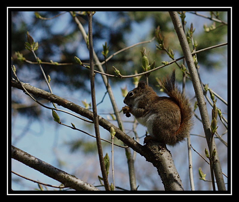 Name:  IMG_7133.edited.jpg
Views: 357
Size:  194.2 KB