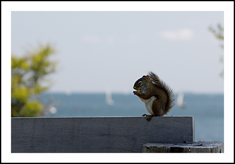 Name:  IMG_8488_edited.jpg
Views: 496
Size:  237.1 KB