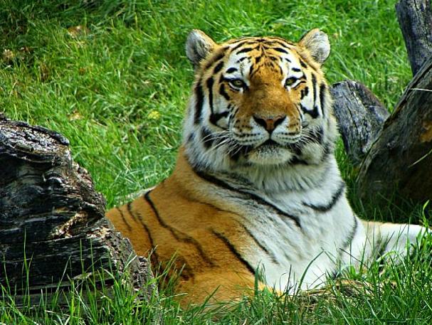 Name:  DSC00961 (800 x 600)_edited.jpg
Views: 375
Size:  81.3 KB