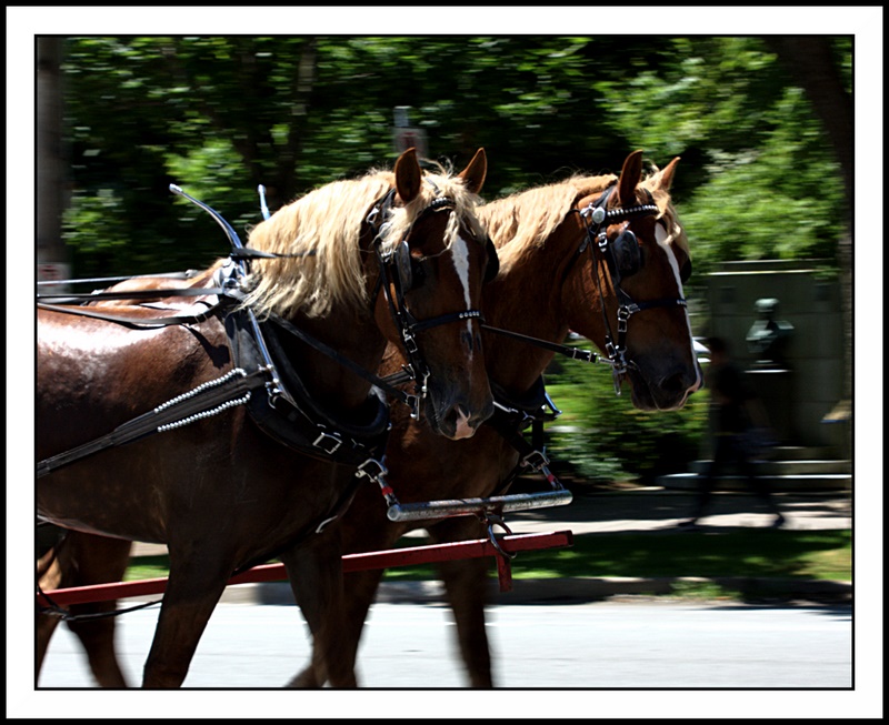 Name:  IMG_9936_edited.jpg
Views: 440
Size:  180.5 KB