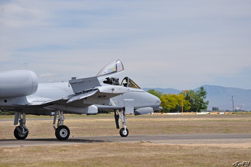Name:  A-10 Thunderbolt II Warthog 3.jpg
Views: 507
Size:  143.8 KB