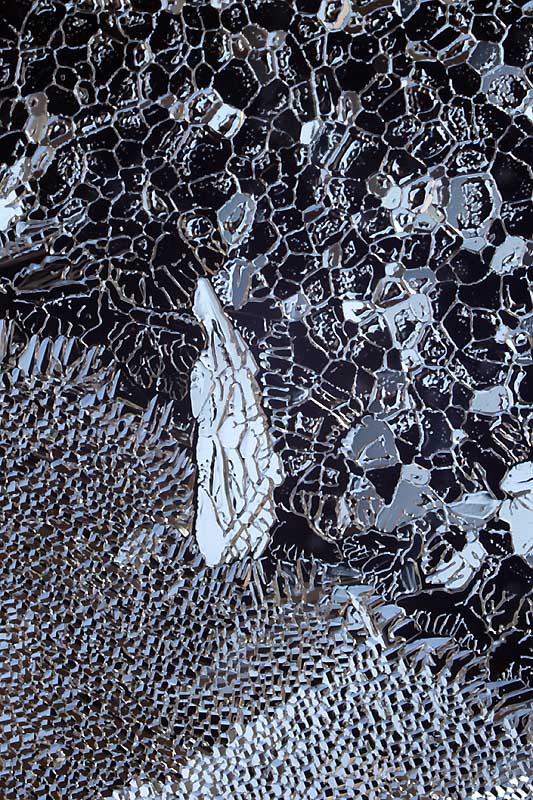 Name:  Frost on Window,c.jpg
Views: 363
Size:  192.5 KB