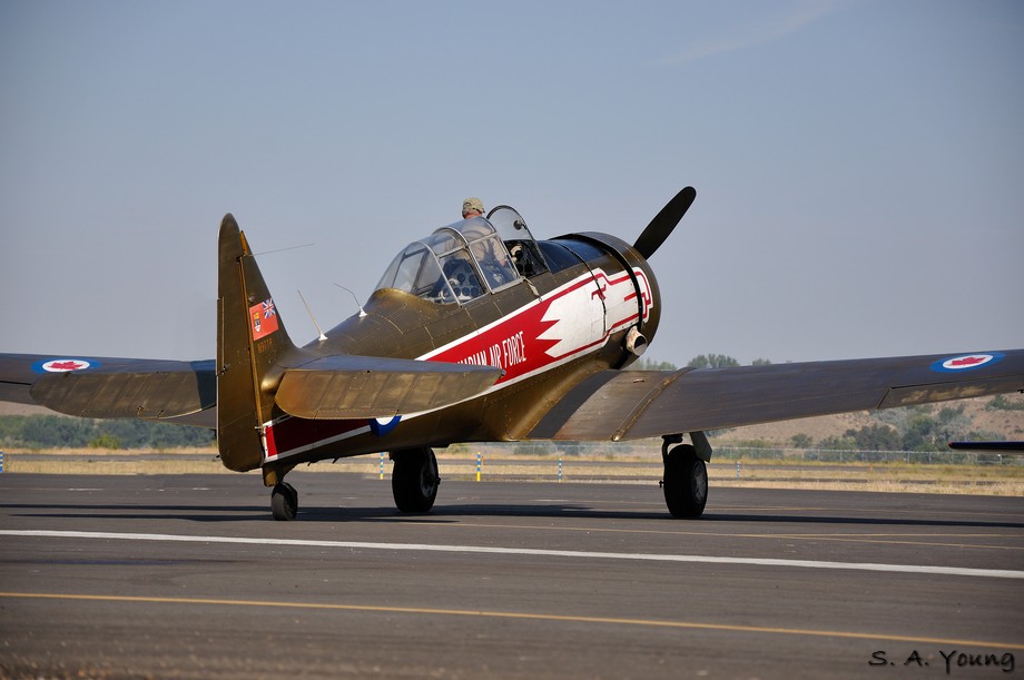 Name:  Texan 2.jpg
Views: 497
Size:  99.4 KB