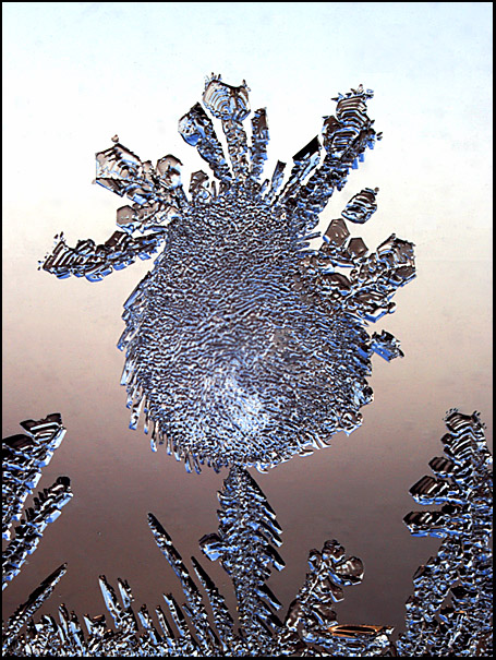 Name:  Frost on Window.jpg
Views: 290
Size:  183.3 KB