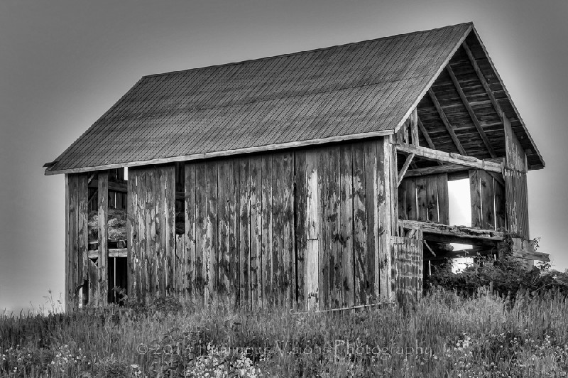 Name:  Forgotten-barn-oil2.jpg
Views: 211
Size:  154.8 KB
