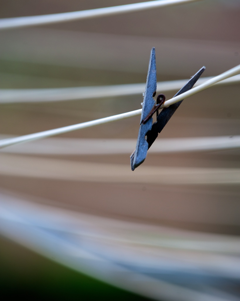 Name:  DSC_6166 (3 of 39).jpg
Views: 336
Size:  117.6 KB