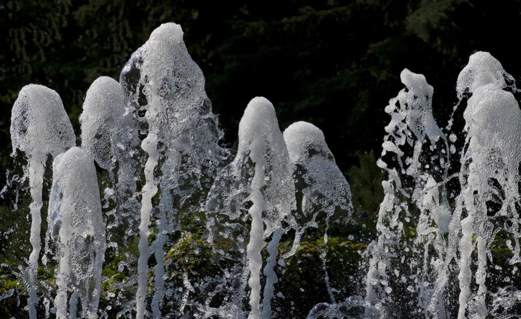 Name:  Water cones,Aug 2013 .jpg
Views: 388
Size:  135.9 KB