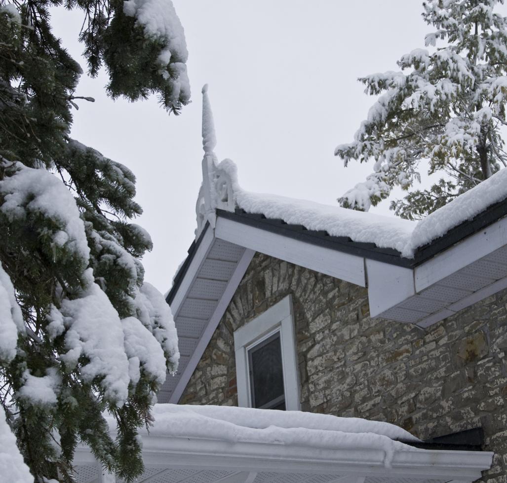 Name:  First snow, Nov 27,2013 (1).jpg
Views: 627
Size:  145.2 KB