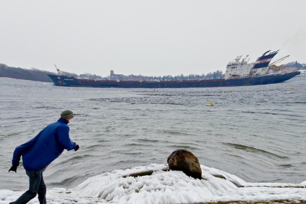 Name:  Algoma Spirit, Dec 5,2013  .jpg
Views: 336
Size:  78.6 KB