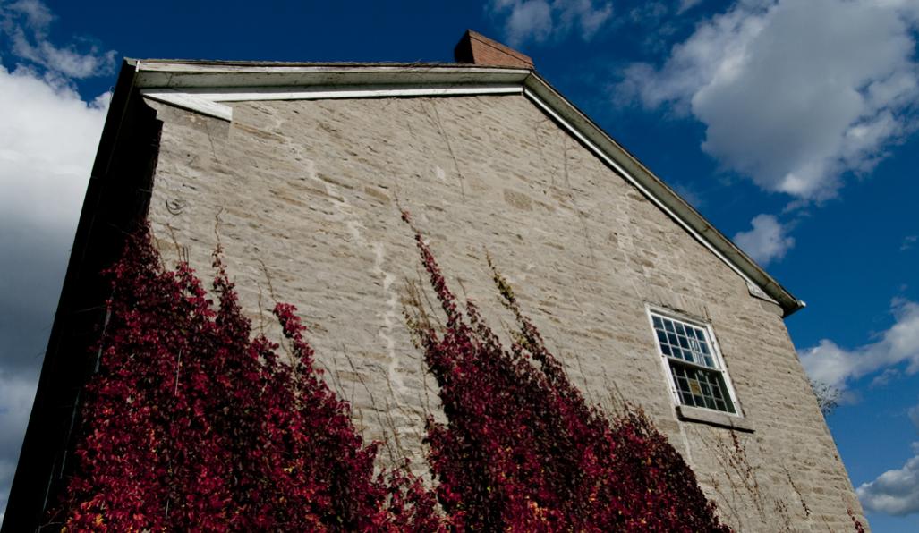 Name:  Maitland,Stone house,vines .jpg
Views: 303
Size:  99.3 KB