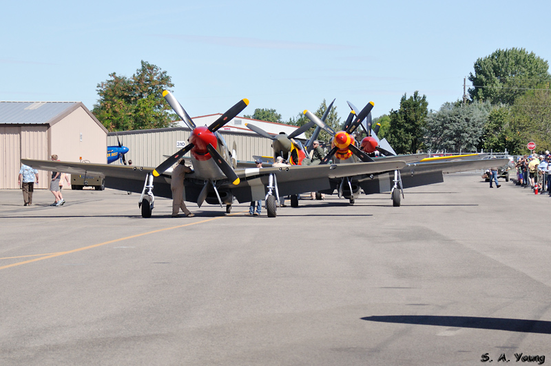 Name:  Flight Line 4.jpg
Views: 351
Size:  253.6 KB