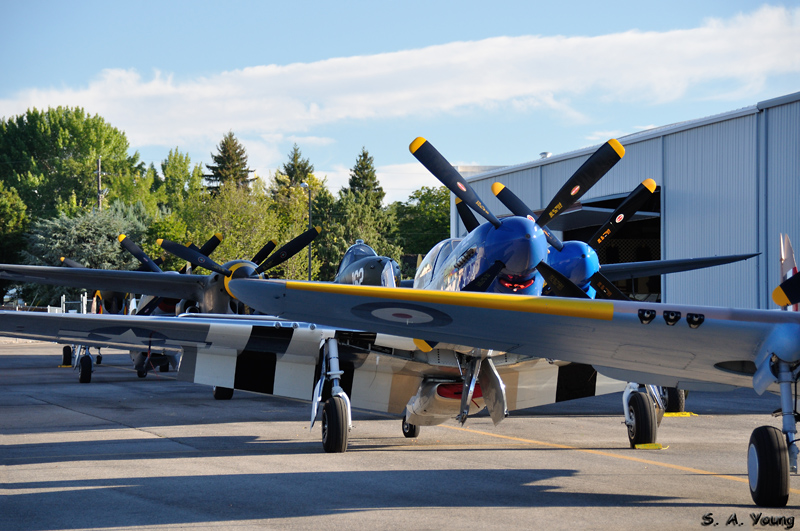 Name:  Flight Line 2.jpg
Views: 323
Size:  286.4 KB