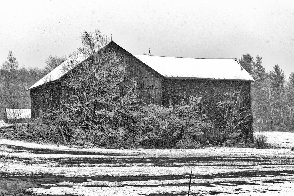 Name:  20170407_0033 6x4bw.jpg
Views: 389
Size:  194.5 KB