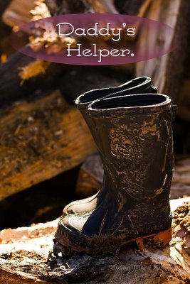 Name:  IMG_0235 copy.jpg
Views: 455
Size:  30.0 KB