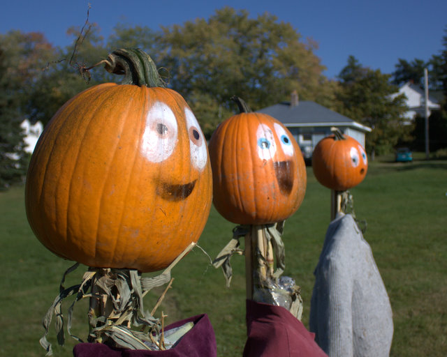 Name:  IMG_4882.jpg
Views: 1902
Size:  83.1 KB