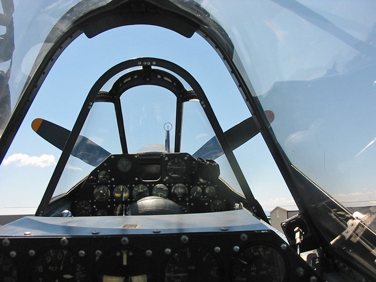 Name:  P-40 Day 4.jpg
Views: 380
Size:  161.2 KB