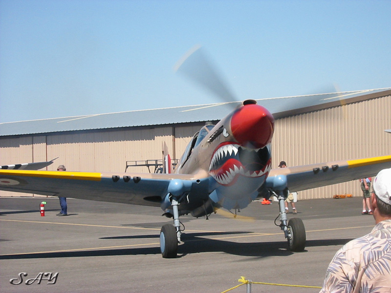 Name:  Kittyhawk 12.jpg
Views: 667
Size:  165.2 KB