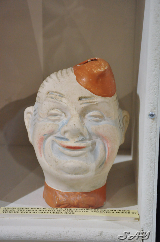 Name:  Chia Pet 2.jpg
Views: 312
Size:  135.7 KB