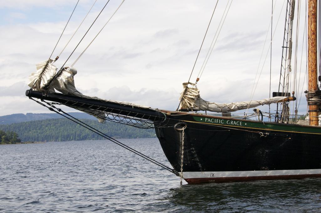 Name:  Pacific Grace close up 020.jpg
Views: 292
Size:  107.2 KB