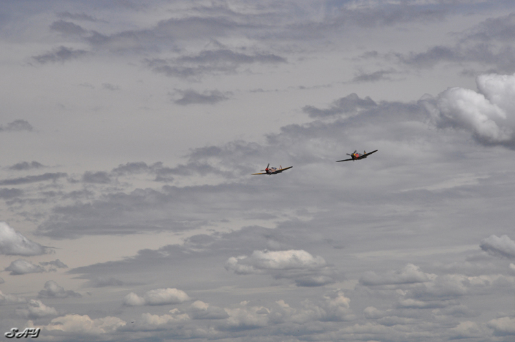 Name:  P-40s 26.jpg
Views: 856
Size:  213.4 KB